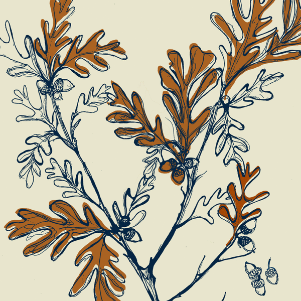 The Majestic Oak | Napkins