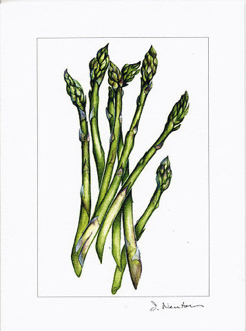Kitchen Garden  Collection