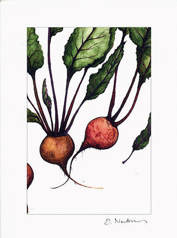 Kitchen Garden  Collection