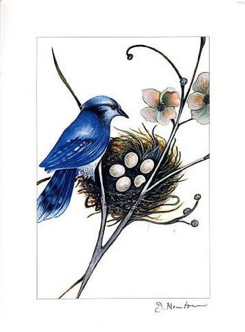 Bluejay + Nest