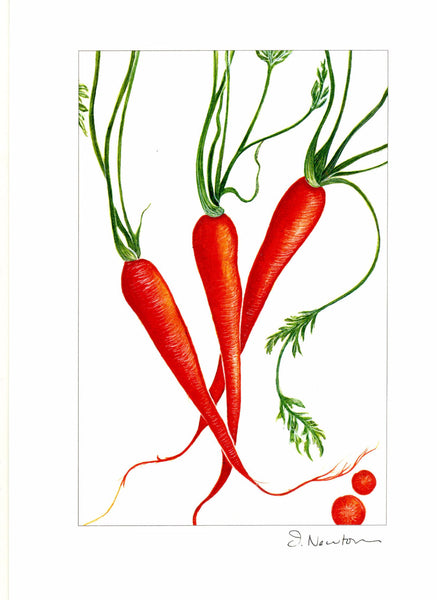 Farmstand Collection