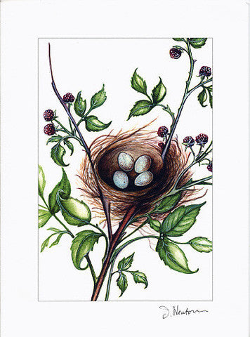 Woodland Note Card Collection