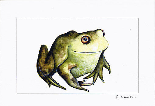 Green Frog
