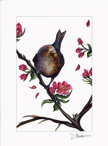 Bird + Fruit Collection