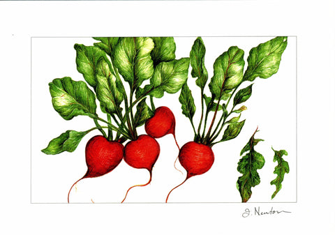 Radish