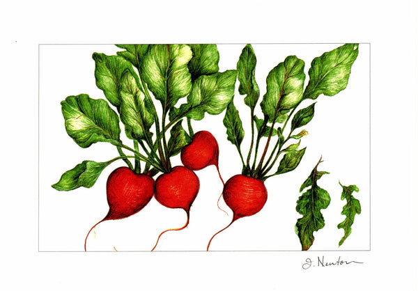 Kitchen Garden  Collection