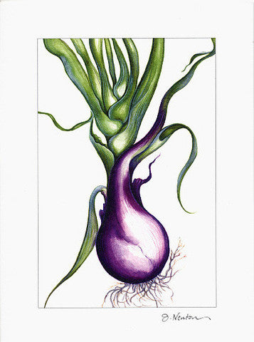 Red Onion
