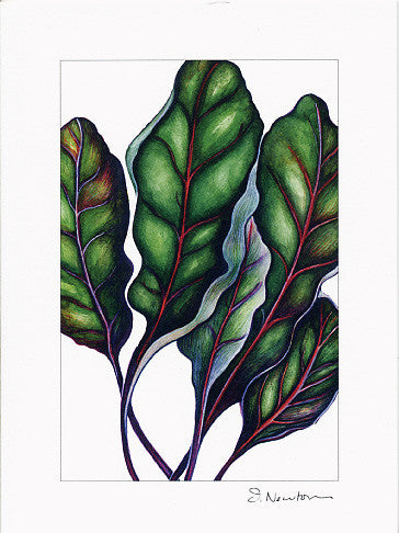 Swiss Chard