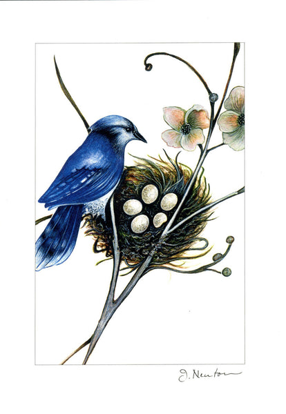 Woodland Note Card Collection