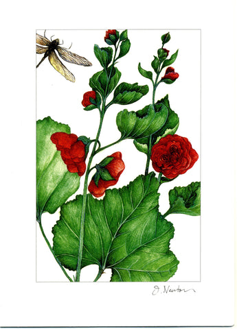 Hollyhock