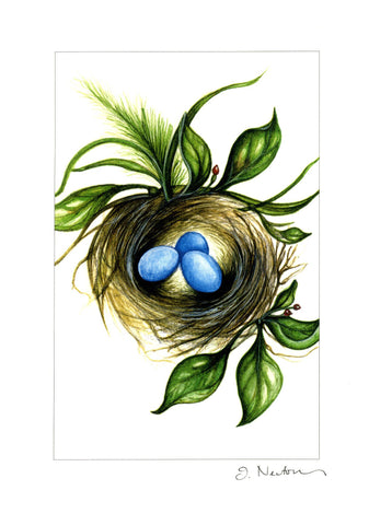 Robins Nest