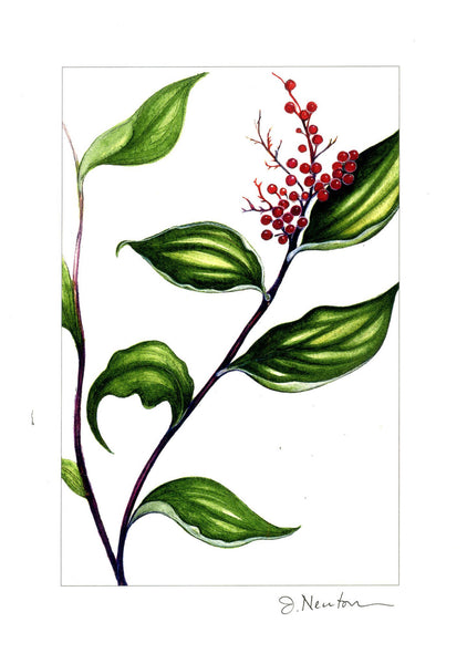 Woodland Note Card Collection