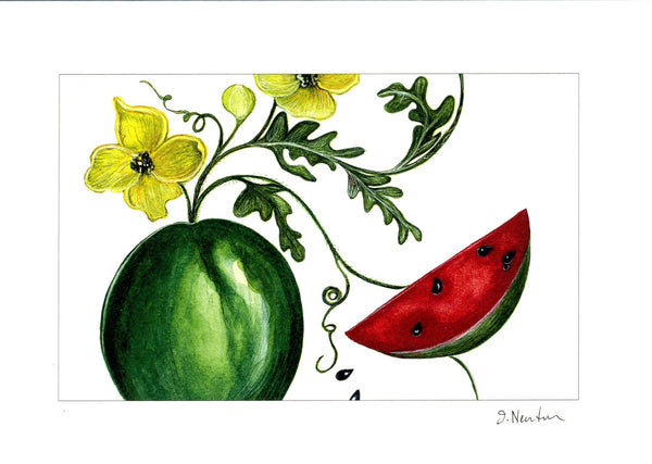 Farmstand Collection